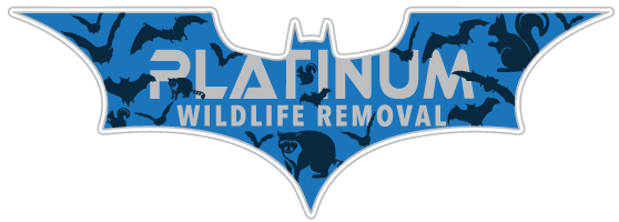 Ottawa County Wildlife Control